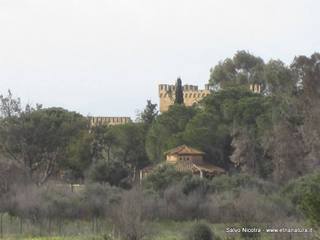 stello duca di Misterbianco-08-03-2014 20-37-06